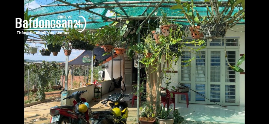 8,8 sào nhà đẹp 3 phòng ngủ giá rẻ tại thành phố Gia Nghĩa tỉnh Đắk Nông