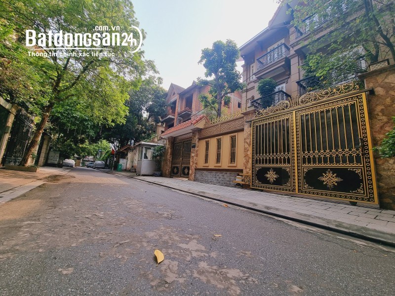 Bán biệt thự, villas Đường Mỹ Đình, Phường Mỹ Đình 2, Quận Nam Từ Liêm