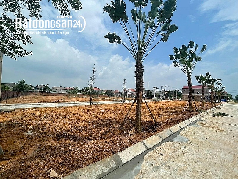 Bán đất Đường Tản Lĩnh, Xã Ba Vì, Huyện Ba Vì