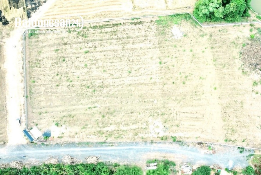 Bán đất Đường 768, Xã Tân An, Huyện Vĩnh Cửu