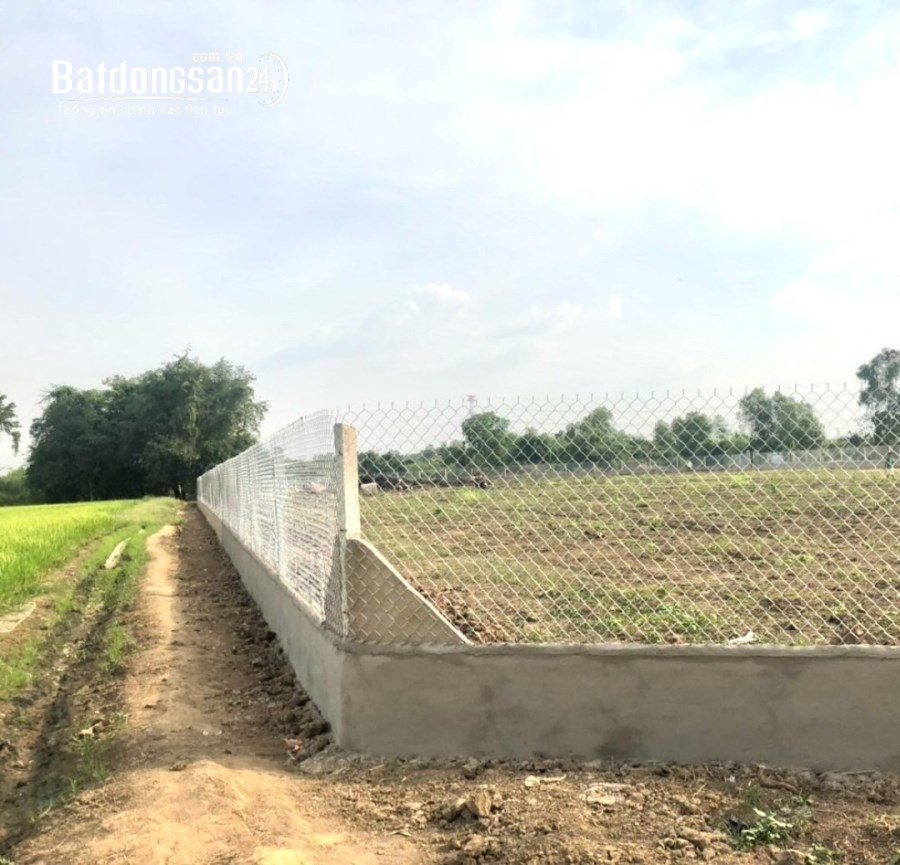 Bán đất Đường 768, Xã Tân An, Huyện Vĩnh Cửu