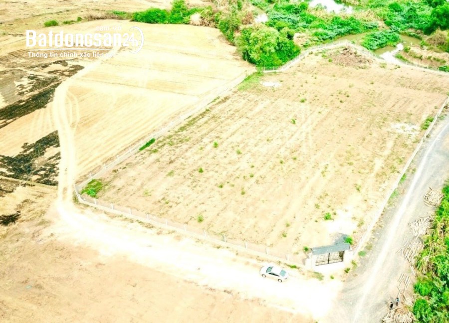 Bán đất Đường 768, Xã Tân An, Huyện Vĩnh Cửu