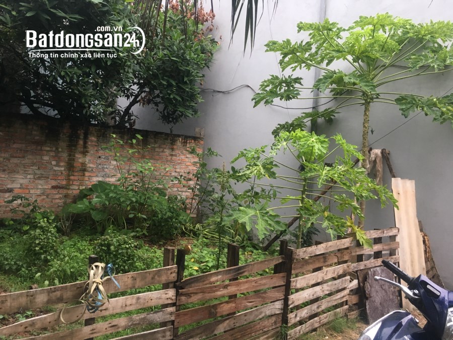 Bán đất Xã Đông Hội, Huyện Đông Anh