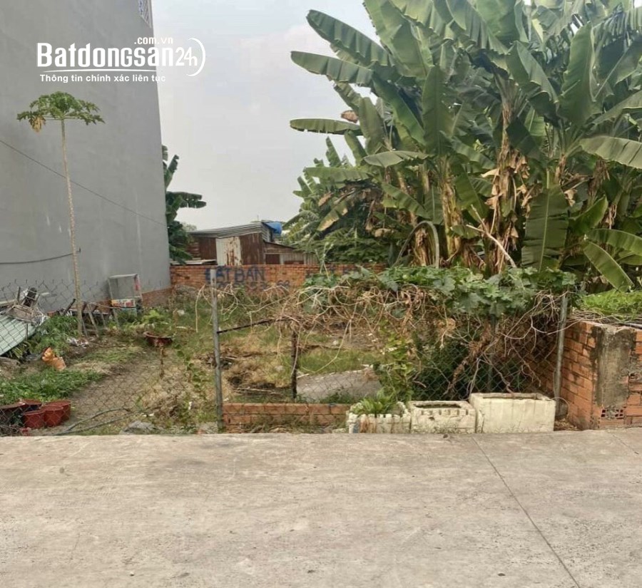 Bán đất Đường ĐT 9, Xã Mỹ Hạnh Nam, Huyện Đức Hoà