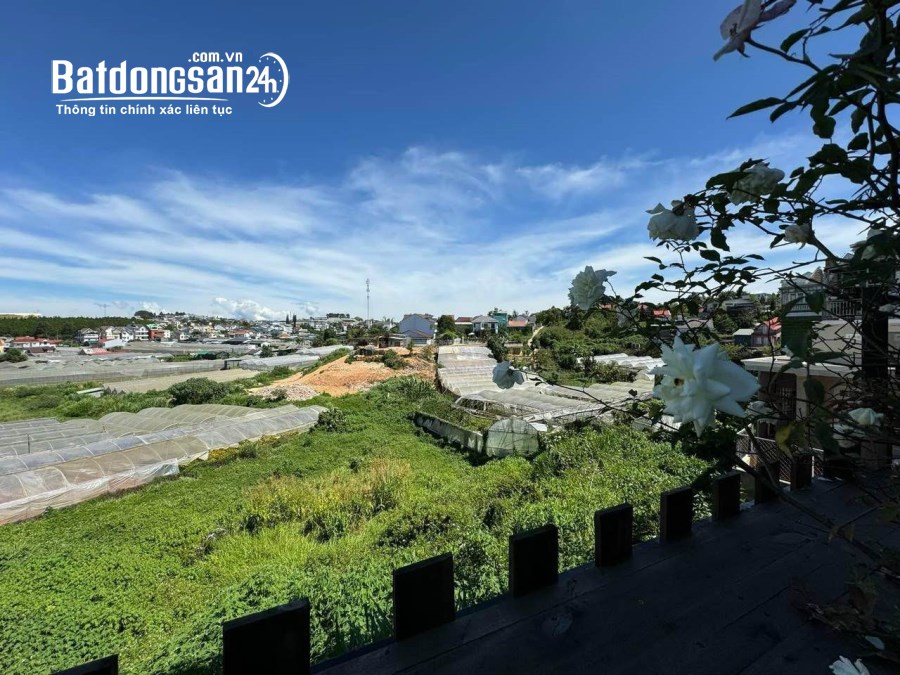 BÁN ĐẤT XÂY KHÁCH SẠN - HOMESTAY GẦN NGÃ 5 ĐẠI HỌC PHƯỜNG 8 