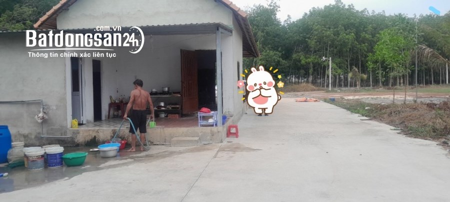 Bán đất Đường Cao Bá Quát, Xã Minh Hưng, Huyện Chơn Thành