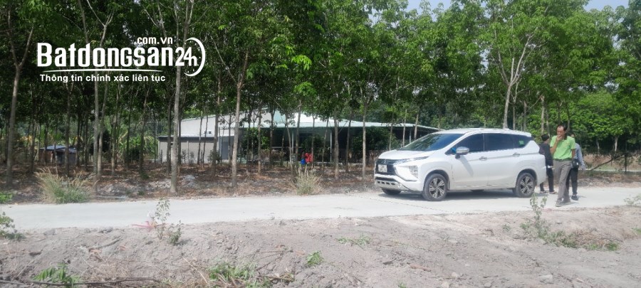 Bán đất Đường Cao Bá Quát, Xã Minh Hưng, Huyện Chơn Thành