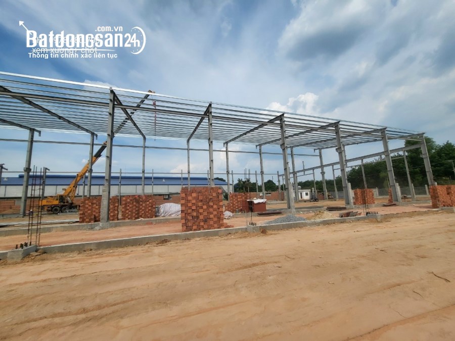 Cho thuê đất riêng, kho xưởng Đường 1, Phường Vĩnh Tân, Thị xã Tân Uyên