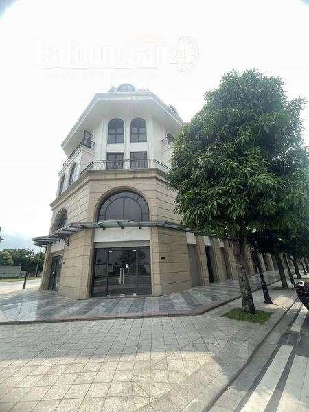Cho thuê biệt thự, Villas Vincity Ocean Park, Xã Đa Tốn, Huyện Gia Lâm
