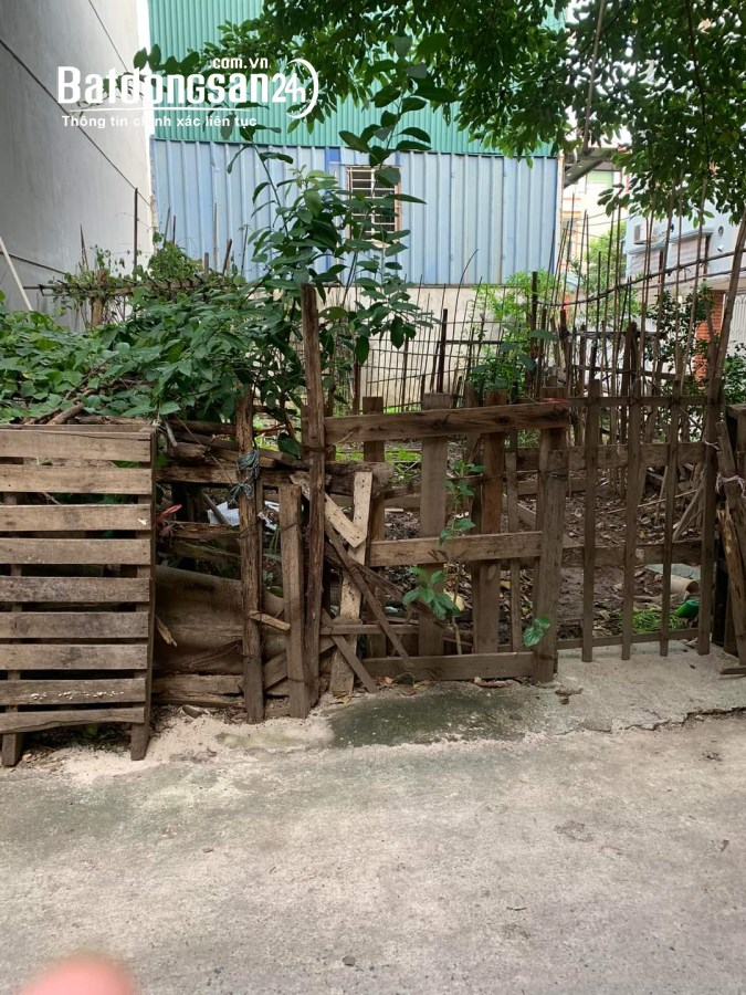 Bán đất Phường Thượng Thanh, Quận Long Biên