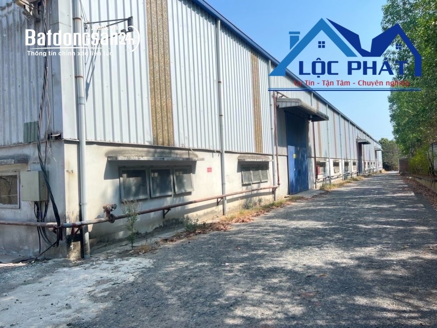 Cho thuê đất riêng, kho xưởng Đường Phan Đăng Lưu, Phường Phước Tân, TP Biên Hòa