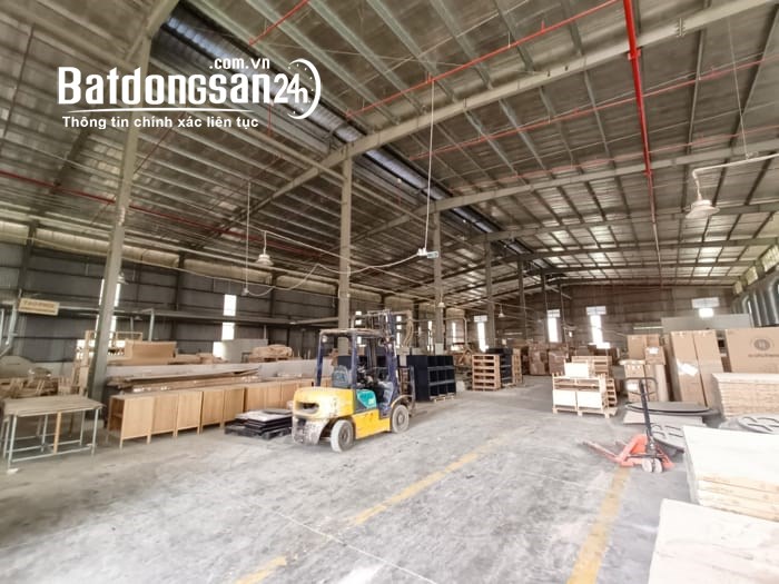 Cho thuê đất riêng, kho xưởng Đường 1, Phường Tân Hiệp, Thị xã Tân Uyên
