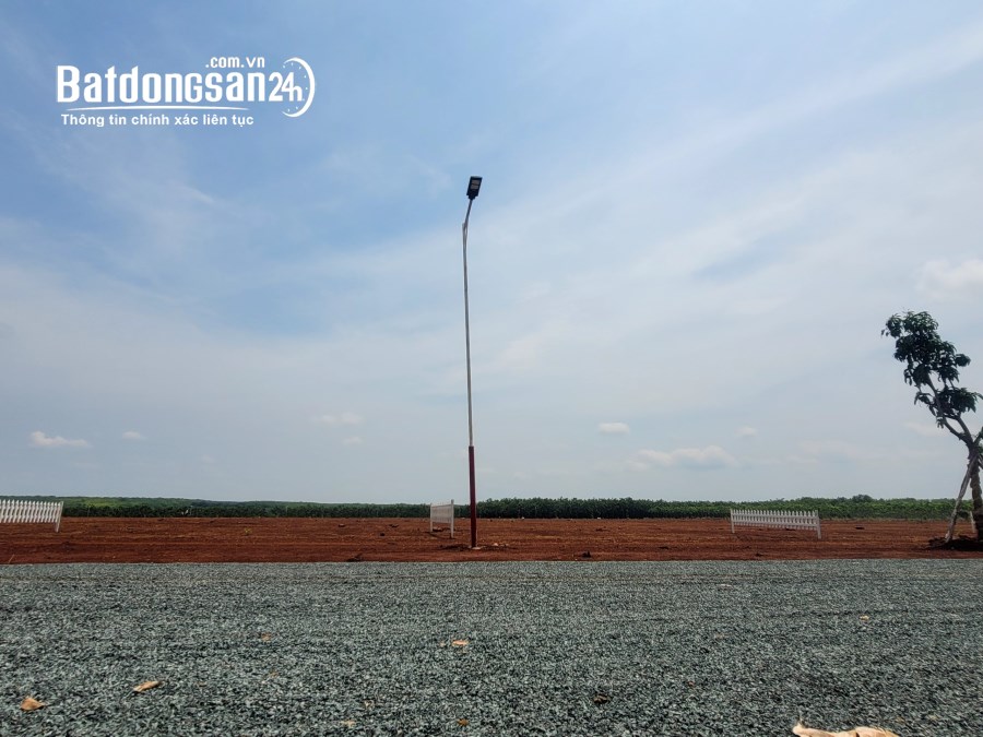 ĐẤT TRỒNG SẦU RIÊNG 2000M2 20X100 600TR
