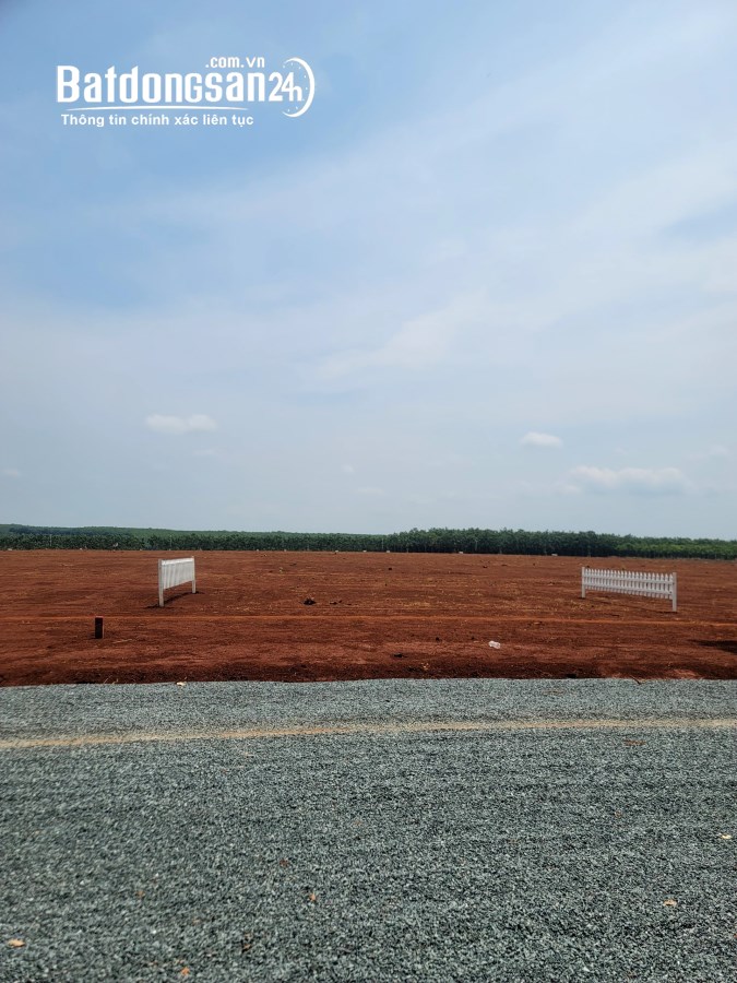 ĐẤT TRỒNG SẦU RIÊNG 2000M2 20X100 600TR
