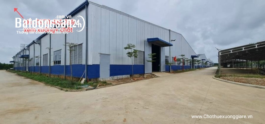 Cho thuê đất riêng, kho xưởng Đường 1, Xã Khánh Bình, Thị xã Tân Uyên