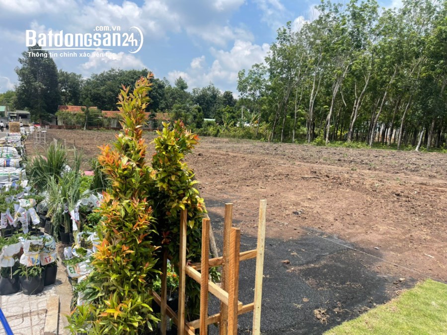 Bán đất vườn cạnh hồ sinh thái, giá chỉ 590r, sổ sẵn công chứng ngay