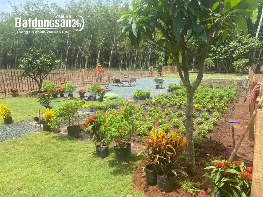 Bán đất vườn cạnh hồ sinh thái, giá chỉ 590r, sổ sẵn công chứng ngay