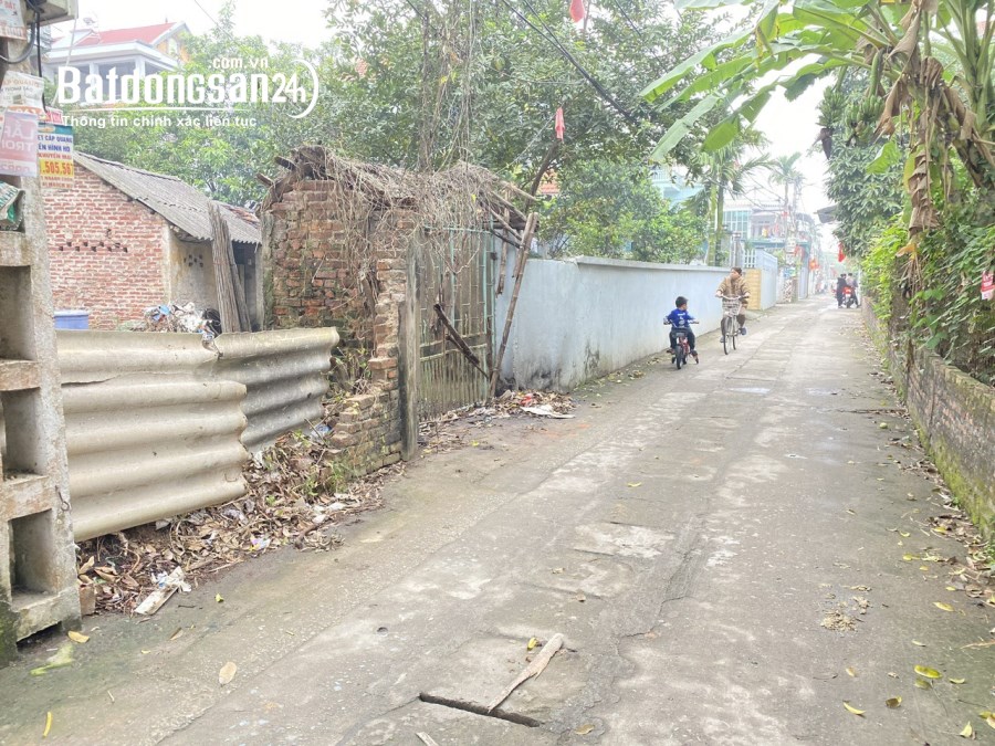 Bán đất Đường 23B, Xã Tiền Phong, Huyện Mê Linh