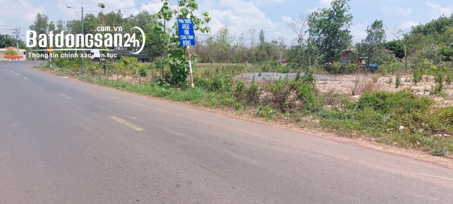 Bán đất Đường 322, Xã Tân Phước, Huyện Đồng Phú