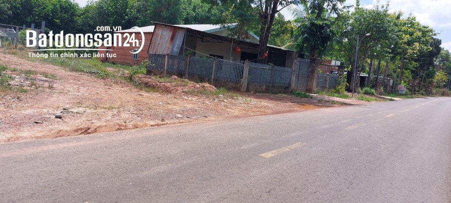 Bán đất Đường 322, Xã Tân Phước, Huyện Đồng Phú