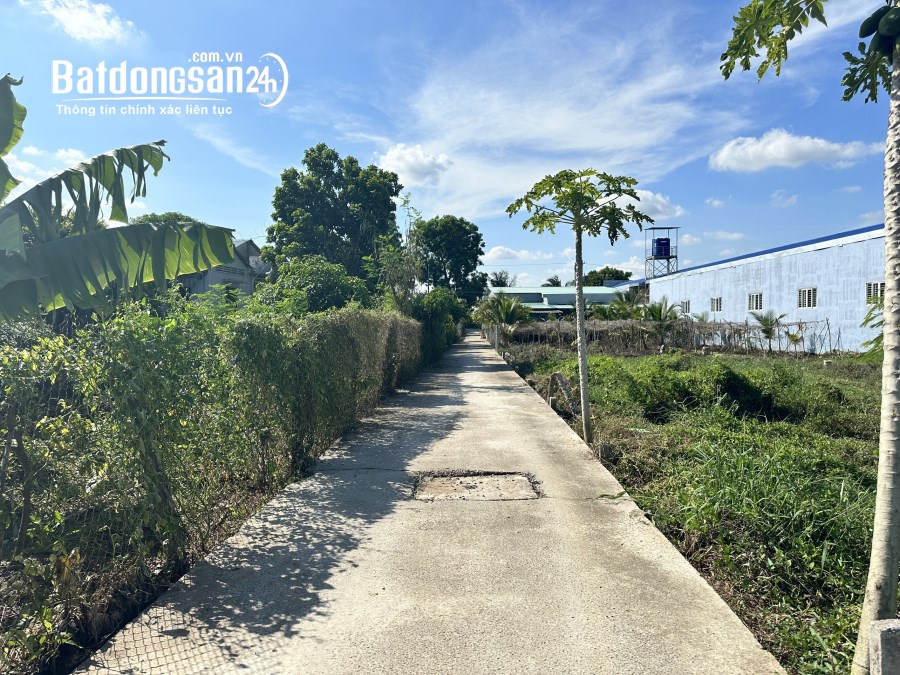 Bán gấp đất , HL 90C , Mỹ Phong , Mỹ Tho