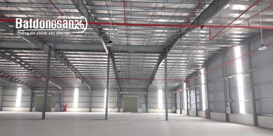 Cho thuê kho xưởng mới 100% Đường Long Hậu, Xã Long Hậu, Huyện Cần Giuộc