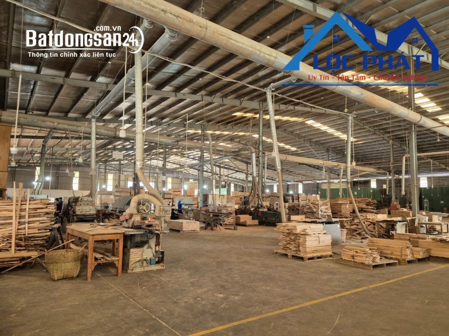 Cho thuê đất riêng, kho xưởng Đường Phan Đăng Lưu, Phường Long Bình, TP Biên Hòa