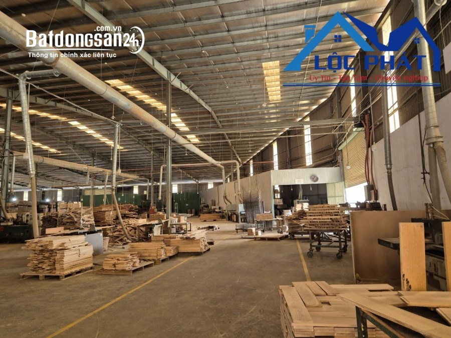 Cho thuê đất riêng, kho xưởng Đường Phan Đăng Lưu, Phường Long Bình, TP Biên Hòa