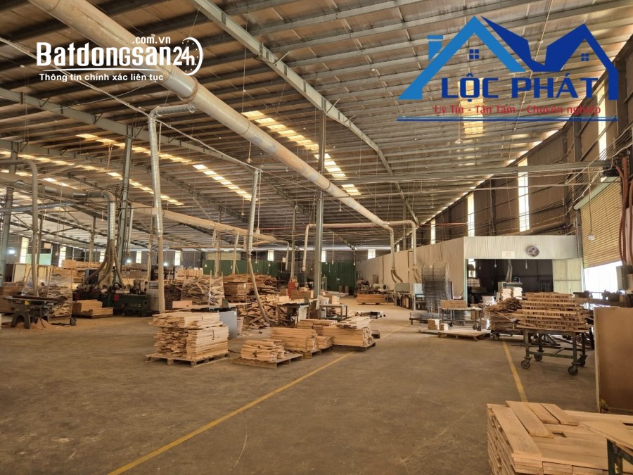 Cho thuê đất riêng, kho xưởng Đường Phan Đăng Lưu, Phường Long Bình, TP Biên Hòa