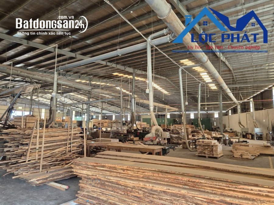 Cho thuê đất riêng, kho xưởng Đường Phan Đăng Lưu, Phường Long Bình, TP Biên Hòa