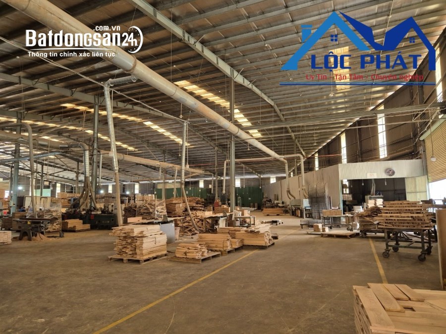 Cho thuê đất riêng, kho xưởng Đường Phan Đăng Lưu, Phường Long Bình, TP Biên Hòa