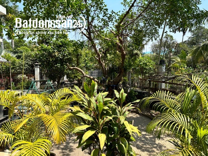 Chỉ với 70 tỷ sở hữu ngay biệt thự sân vườn 7000M2, CÒ BAY THẲNG CÁNH, Trường Thạnh.