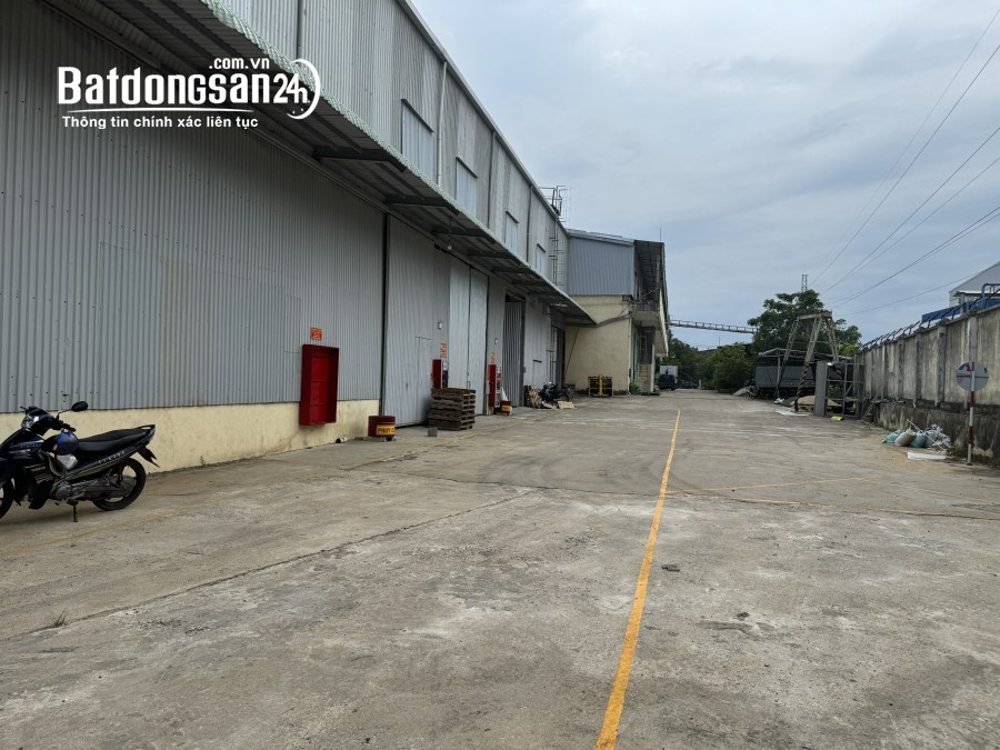 Cho thuê đất riêng, kho xưởng Đường 10B, Phường Hòa Khánh Bắc, Quận Liên Chiểu