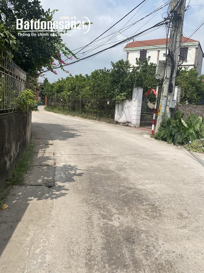 BÁN ĐẤT - CHƯƠNG DƯƠNG - THƯỜNG TÍN - HN