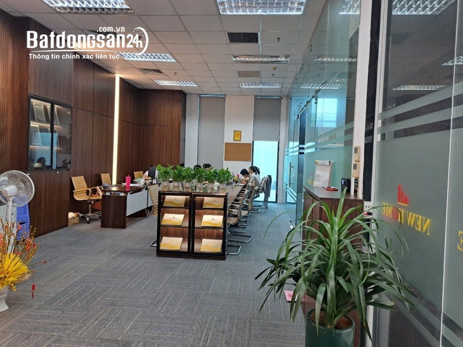 Cho thuê 85m2 văn phòng Đường Dương Đình Nghệ, Quận Cầu Giấy giá 12$