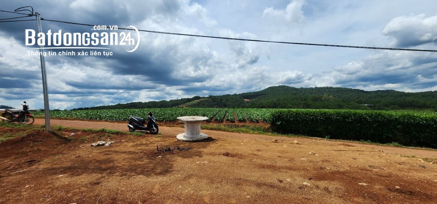BÁN GẦN 2 XÀO ĐẤT NÔNG NGHIỆP MẶT TIỀN ĐƯỜNG XÃ XUÂN THỌ 