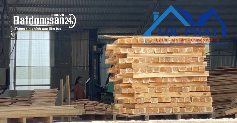 Bán kho xưởng, trang trại Đường Võ Nguyên Giáp, Phường Phước Tân, TP Biên Hòa