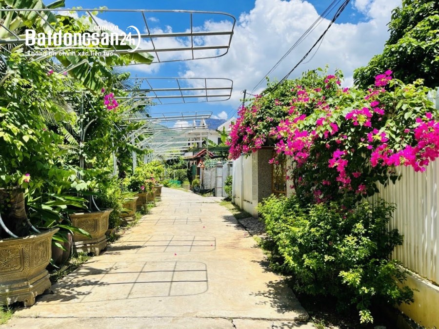 Bán đất Đường Võ Nguyên Giáp, Xã Diên Toàn, Huyện Diên Khánh