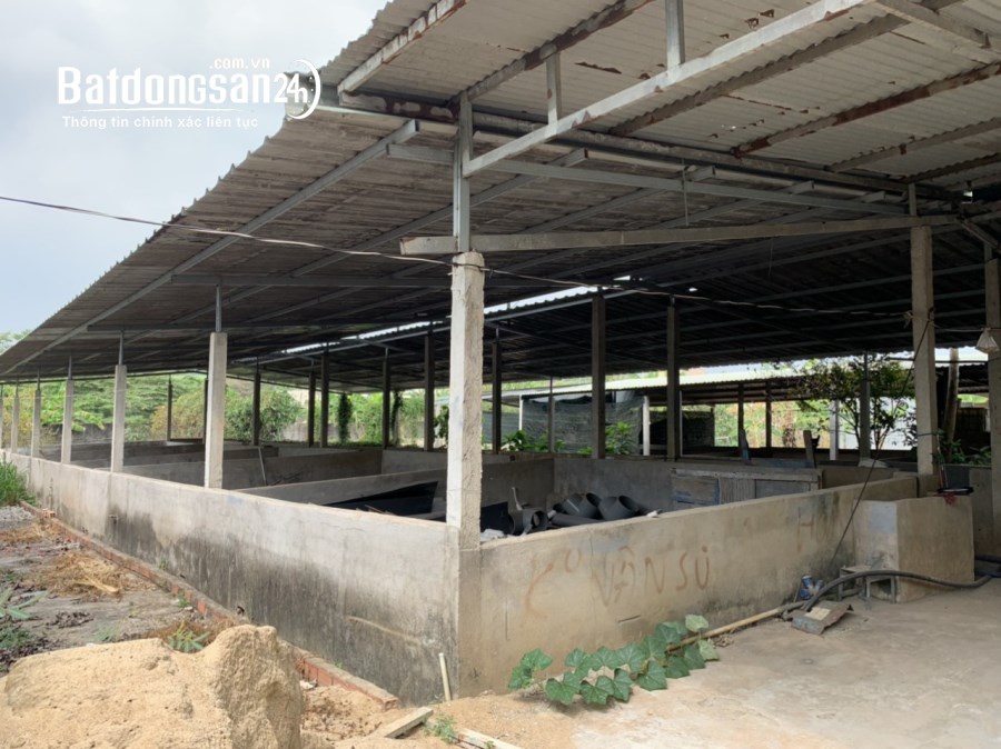 Bán kho xưởng, trang trại Đường 768, Xã Tân An, Huyện Vĩnh Cửu