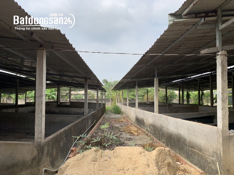 Bán kho xưởng, trang trại Đường 768, Xã Tân An, Huyện Vĩnh Cửu