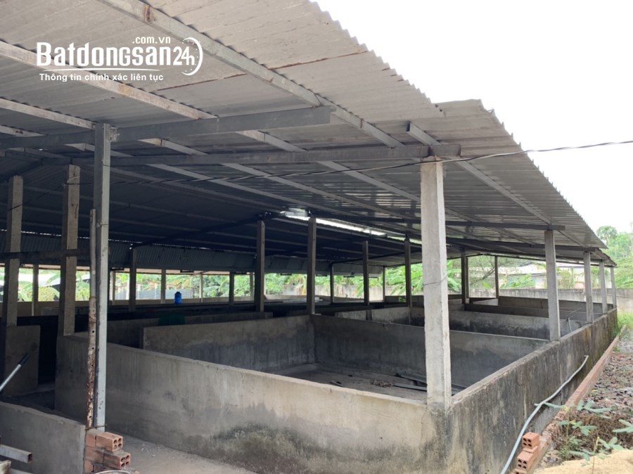 Bán kho xưởng, trang trại Đường 768, Xã Tân An, Huyện Vĩnh Cửu