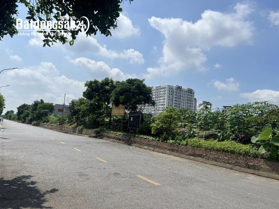 Bán đất mặt phố Hòa Bình, Thành phố Hải Dương, 178.2m2, mt 5.23m, nở hậu, giá tốt, KD
