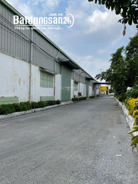 Bán kho xưởng, trang trại Đường Đông Hải, Phường Đông Hải 2, Quận Hải An