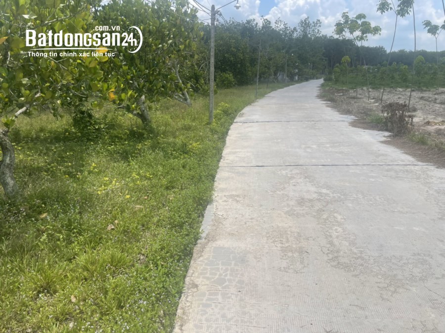 Đất nền giá rẻ Chơn Thành sổ hồng riêng