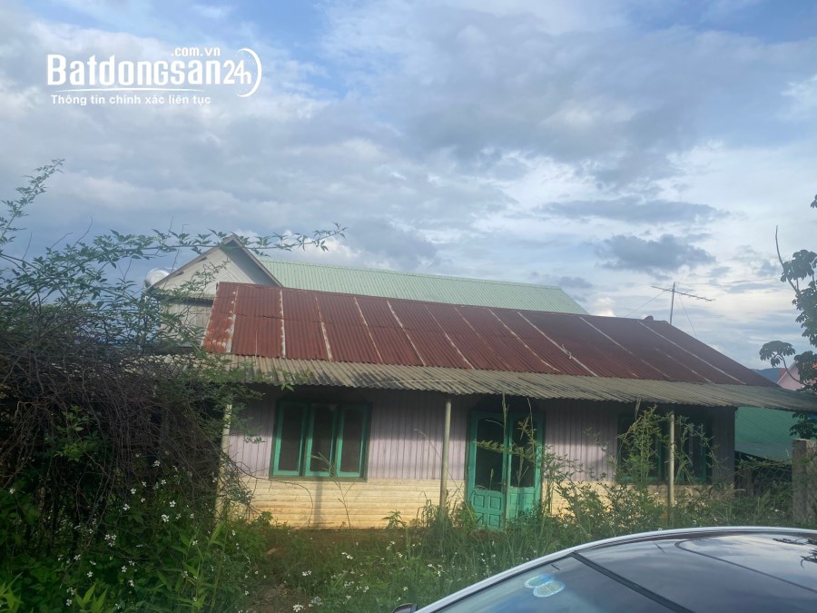BÁN HƠN 1 XÀO ĐẤT CÓ THỔ CƯ NGAY TRUNG TÂM XÃ ĐASAR