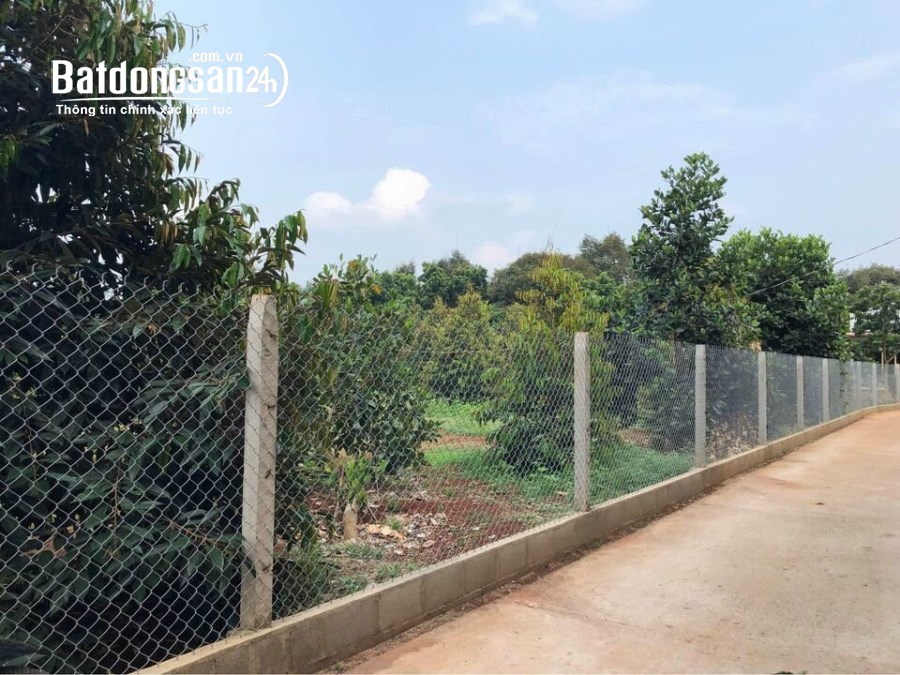 Bán đất Đường ĐT 753, Xã Tân Hưng, Huyện Đồng Phú