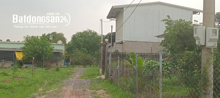 Bán sào 500m, sổ hồng riêng, giá đầu tư tốt, đường 5m thông, thuộc kp7, p, Long Bình
