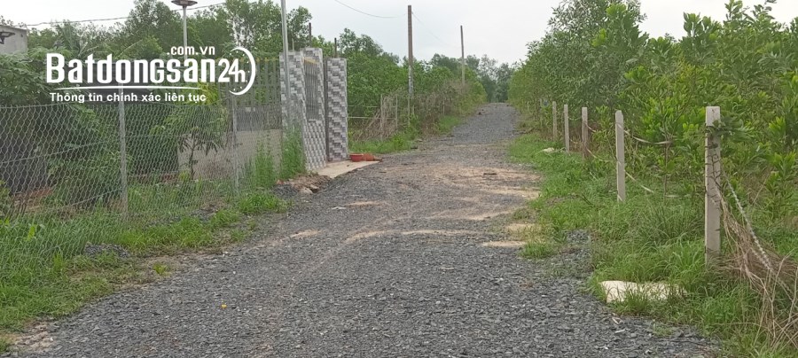 Bán sào 500m, sổ hồng riêng, giá đầu tư tốt, đường 5m thông, thuộc kp7, p, Long Bình