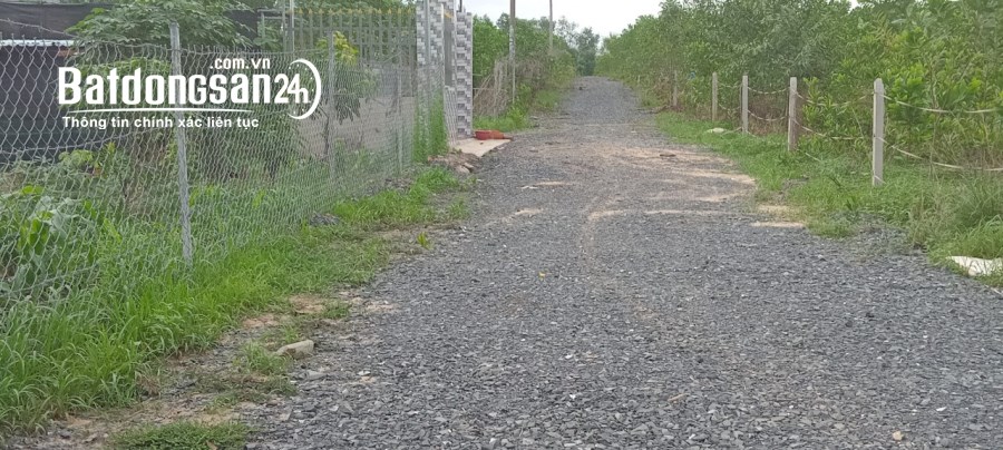 Bán sào 500m, sổ hồng riêng, giá đầu tư tốt, đường 5m thông, thuộc kp7, p, Long Bình
