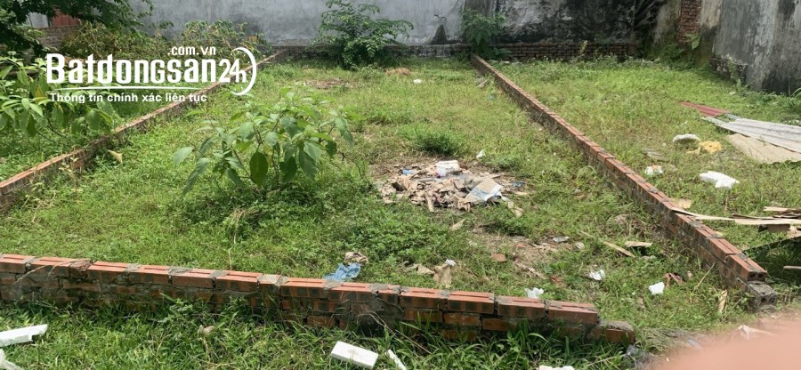 Bán đất Đường Quang Minh, Thị trấn Quang Minh, Huyện Mê Linh